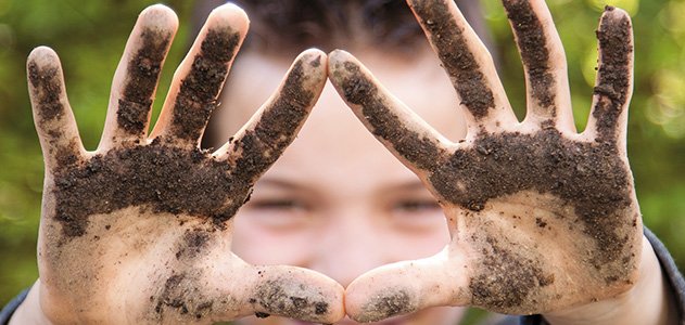 minciuna si nonsensul